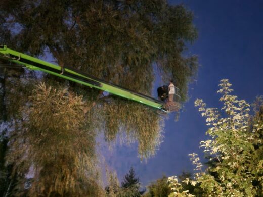 Niftylift 210