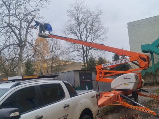 Niftylift 210